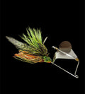 Buck Tail Buzz Baits