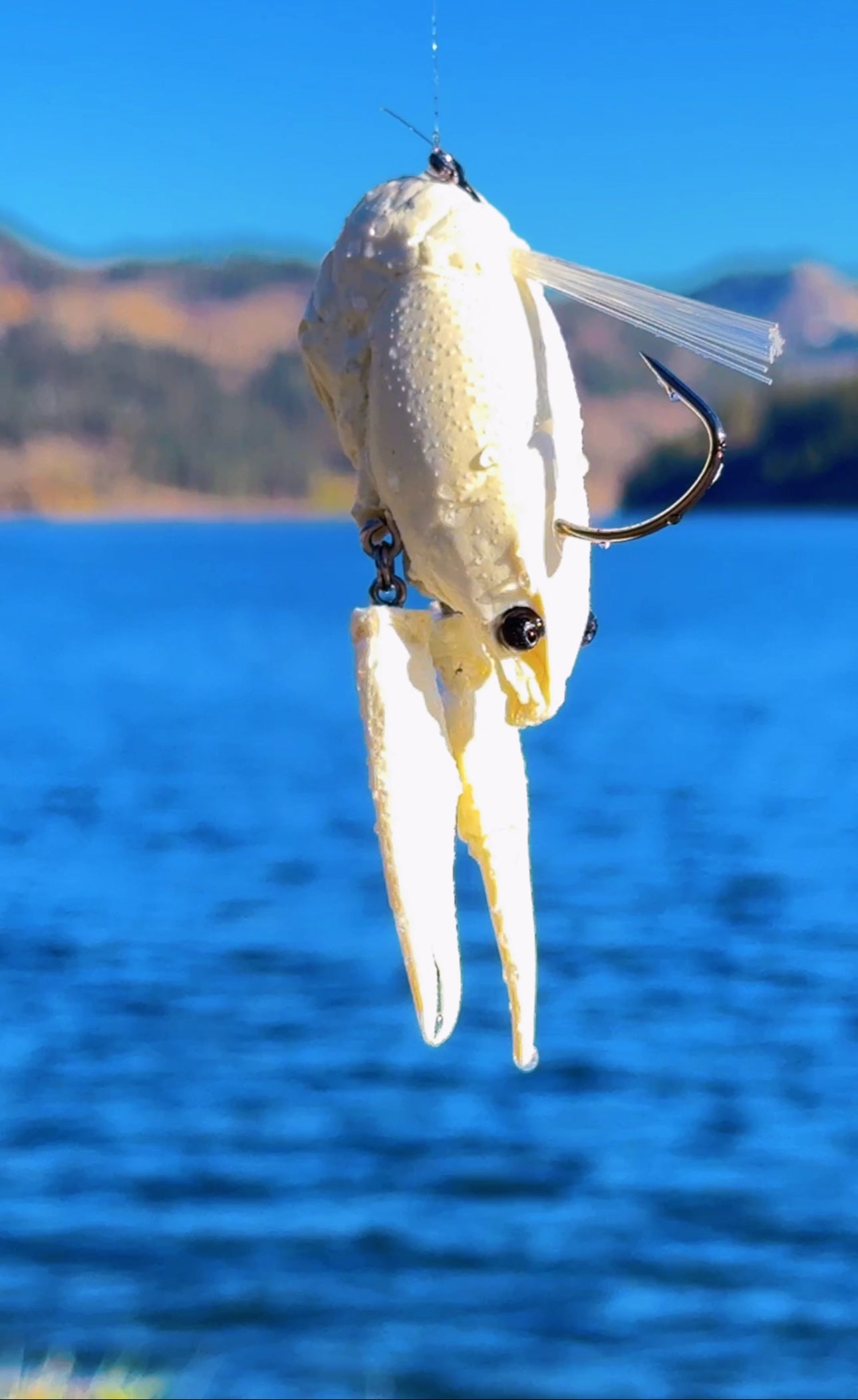 BTJ Stream Sweeper (Realistic Resin Craw!)